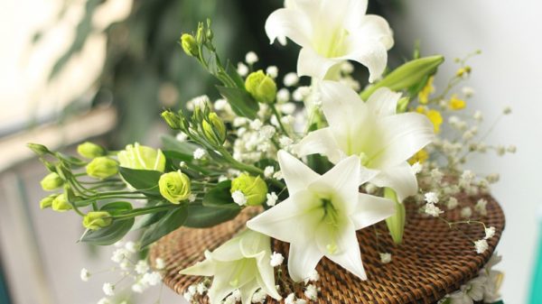 Ý nghĩa hoa loa kèn – loài hoa hạnh phúc