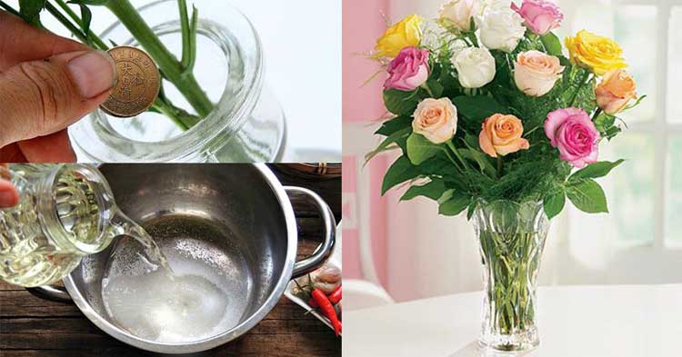 Nên thay nước thường xuyên để bình hoa không có mùi hôi và tươi lâu